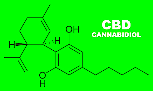 CBD Oil for Anxiety CBD Molecule